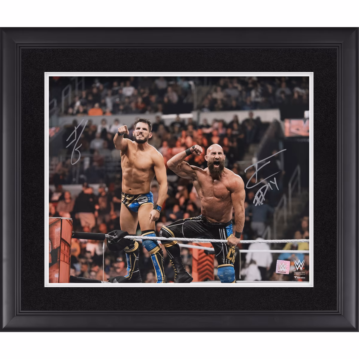 Tommaso Ciampa & Johnny Gargano WWE Framed Autographed 16'' x 20'' DIY Entrance Photograph