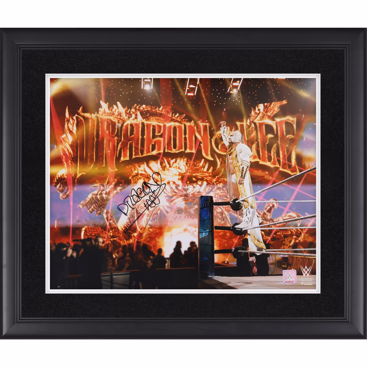 Dragon Lee WWE Framed Autographed 16'' x 20'' Entrance Photograph
