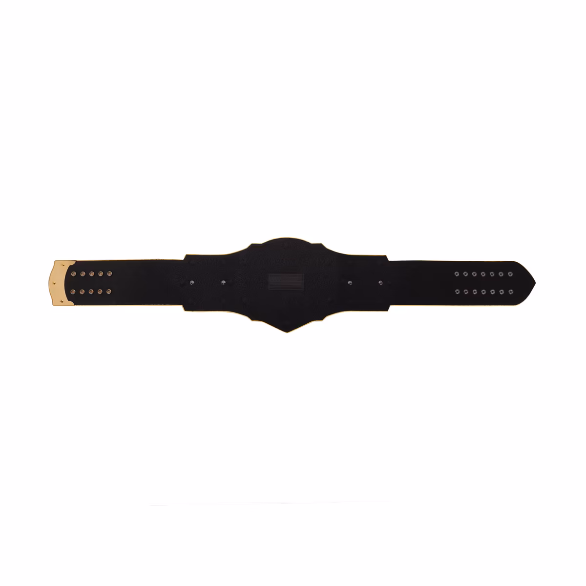 Baylor Bears WWE Legacy Title Belt 10 Baylor Bears WWE Legacy Title Belt