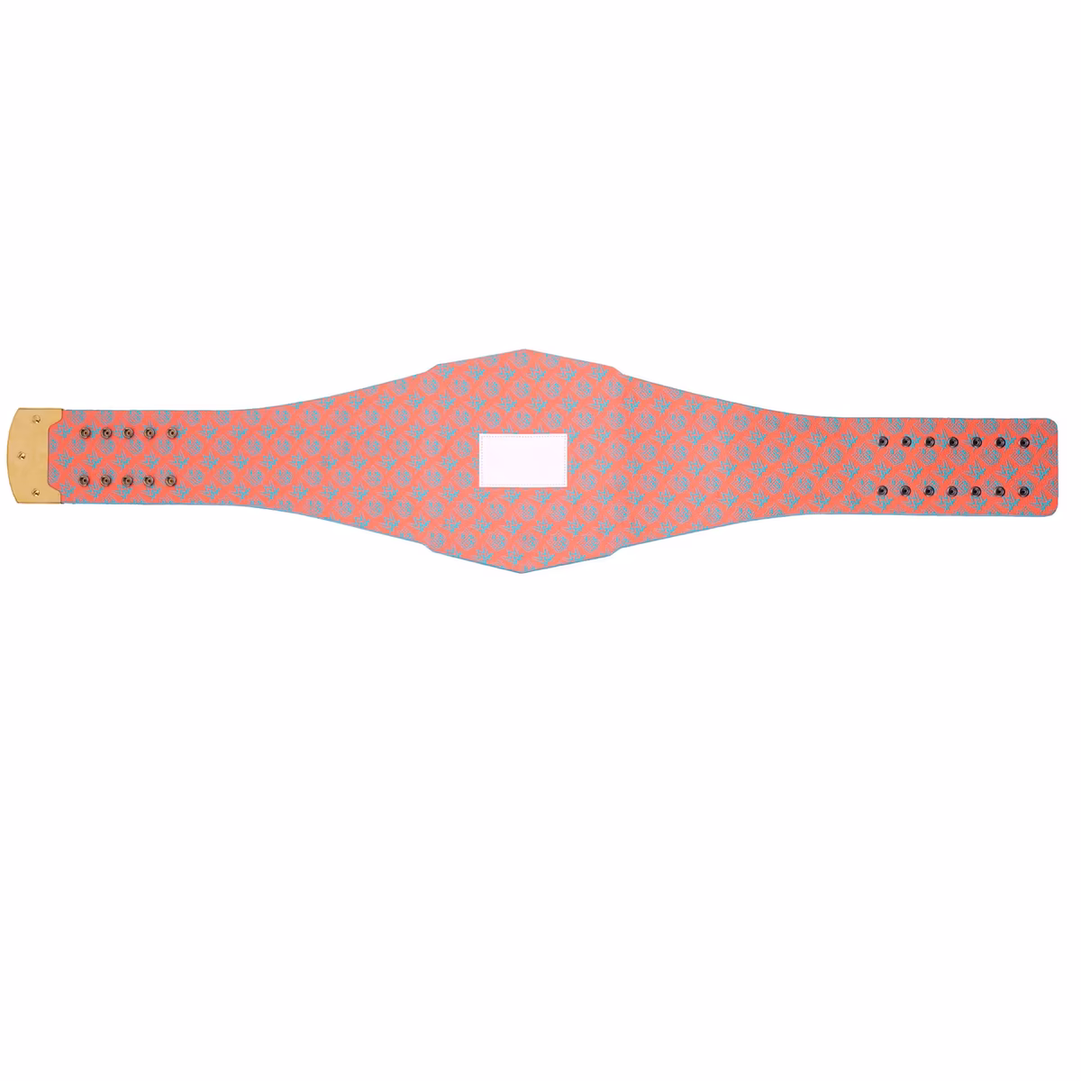 Miami Dolphins WWE Legacy Title Belt 5 Miami Dolphins WWE Legacy Title Belt