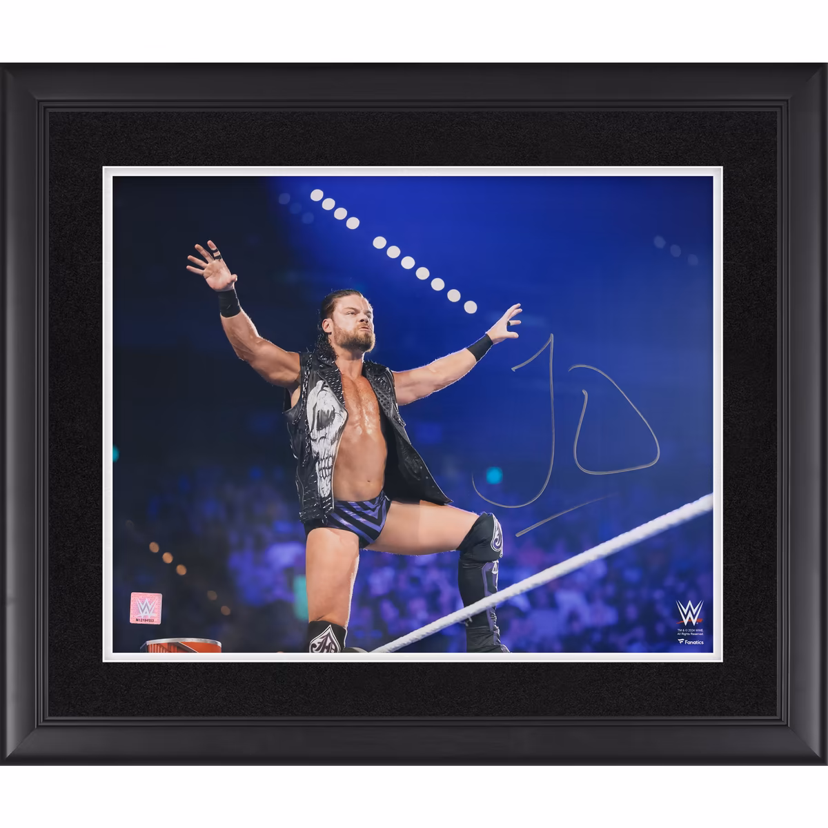 JD McDonagh WWE Autographed Framed 16" x 20" Entrance On Ropes Photograph