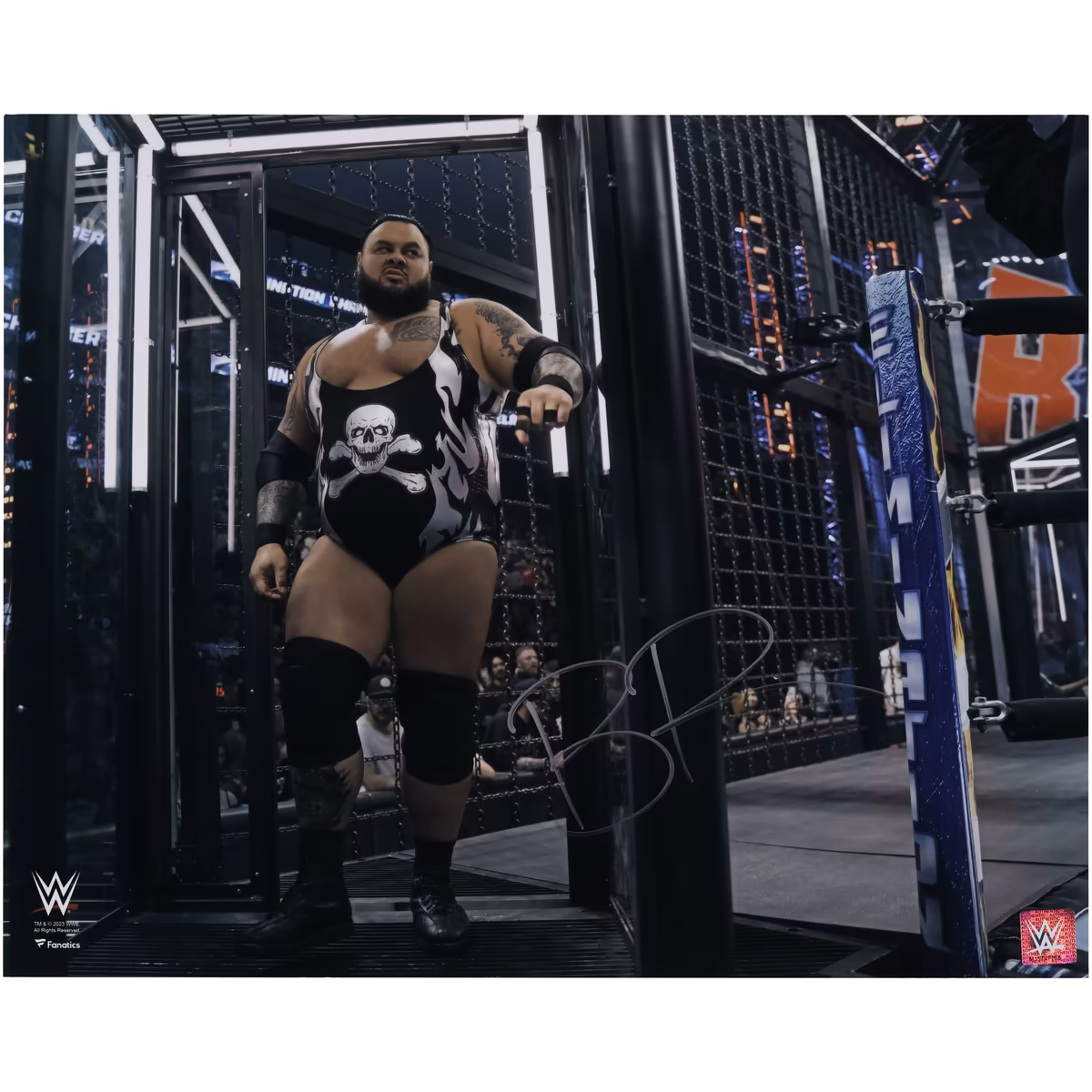 Bronson Reed WWE Autographed 16" x 20" Elimination Chamber Photograph