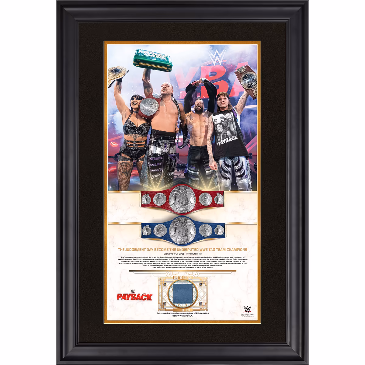 Finn Balor and Damien Priest WWE Framed 10" x 18" 2023 Payback Collage with Piece of Match-Used Canvas - Limited Edition of 250