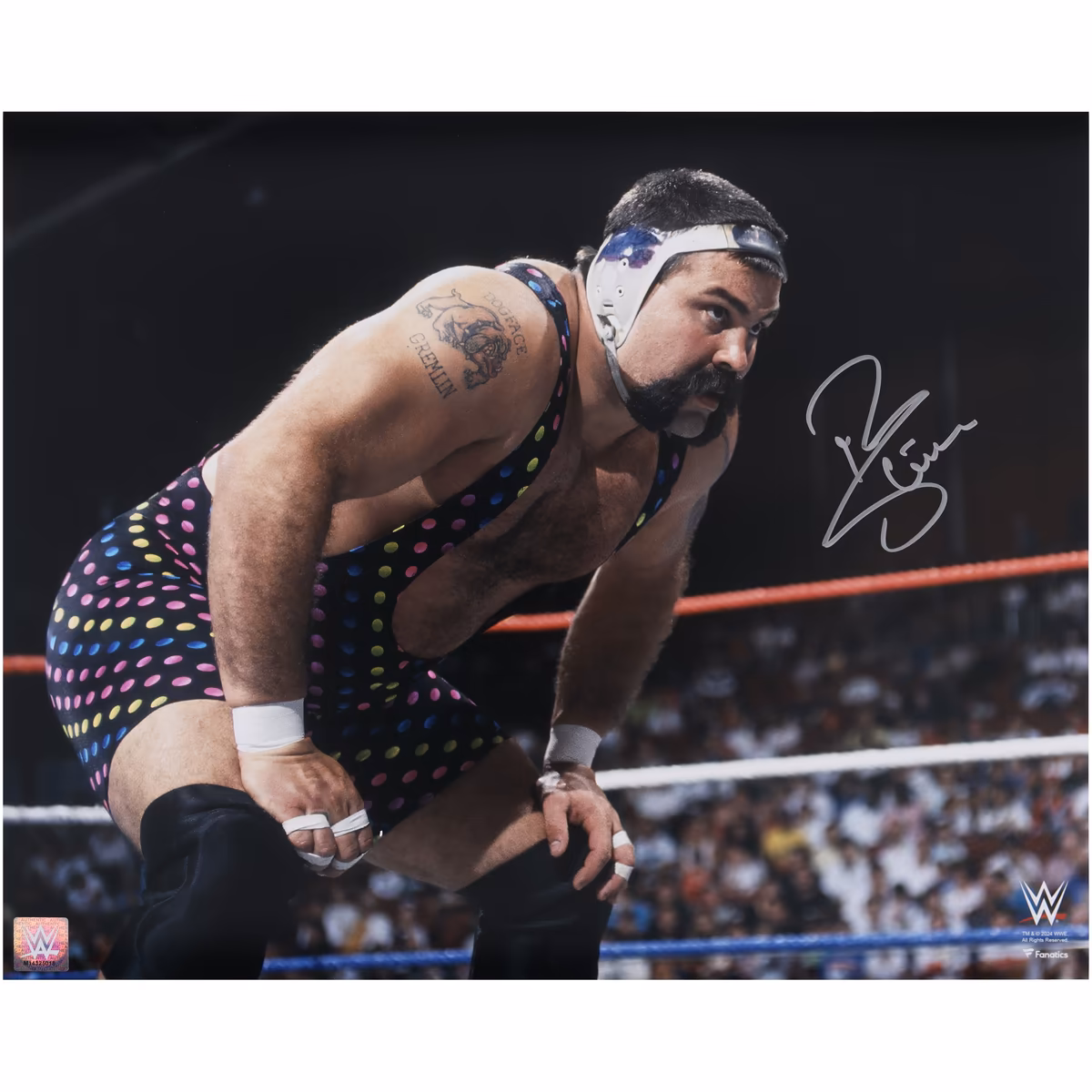 Rick Steiner WWE Autographed 16" x 20" In Ring Photograph