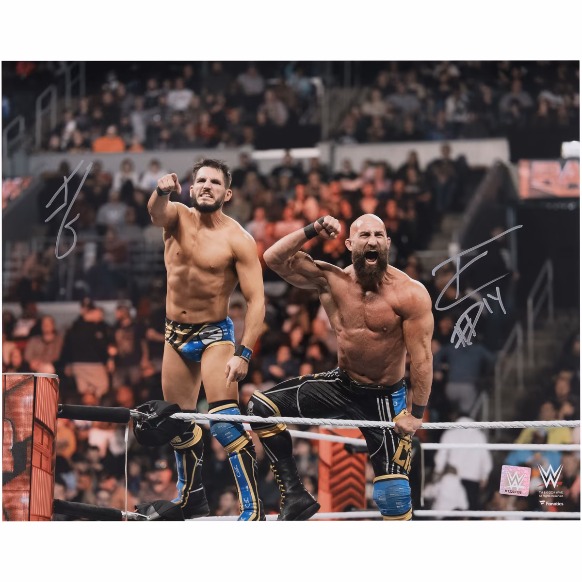 Tommaso Ciampa & Johnny Gargano WWE Autographed 16" x 20" DIY Entrance Photograph