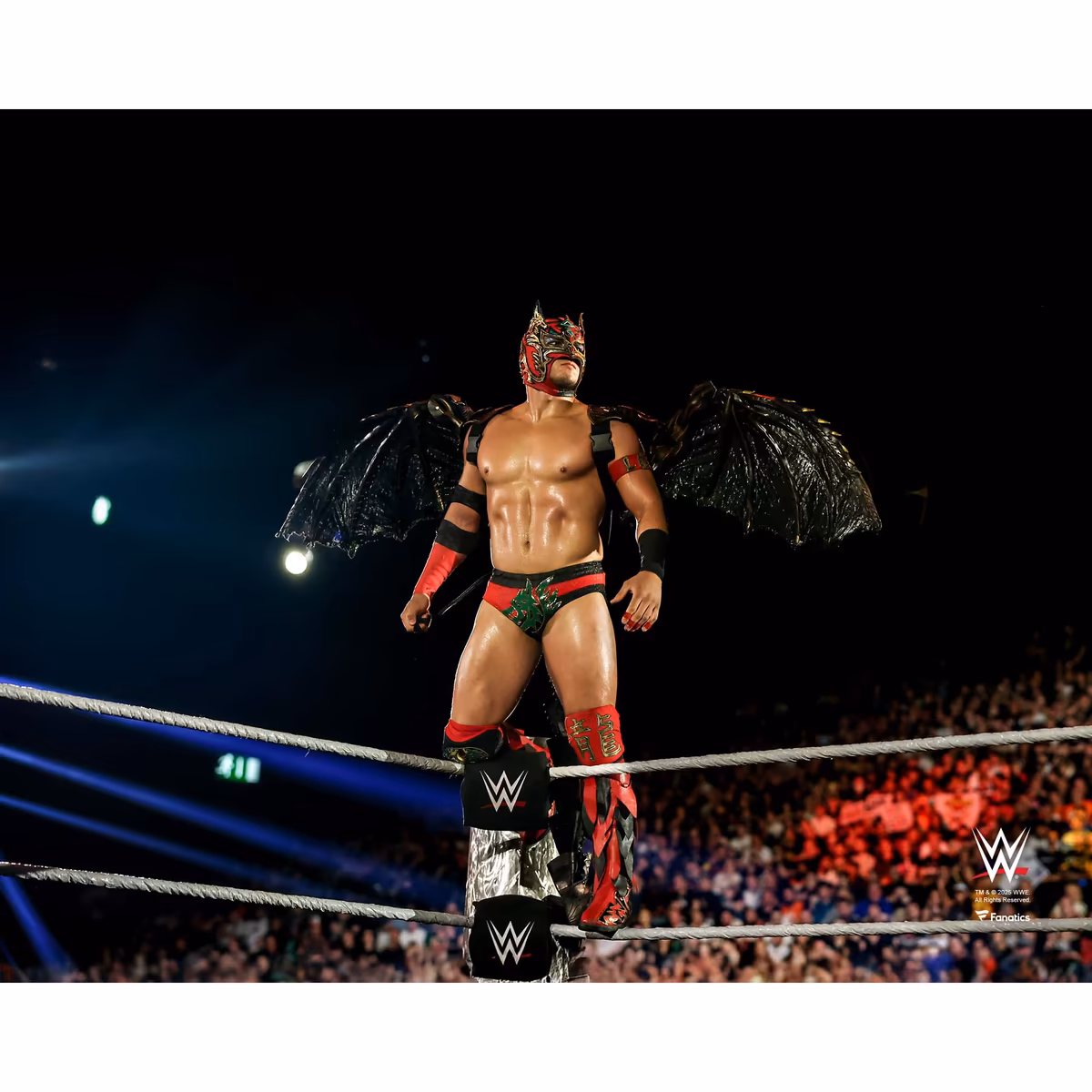 Dragon Lee WWE Unsigned Standing On Ropes with Dragon Wings Photograph