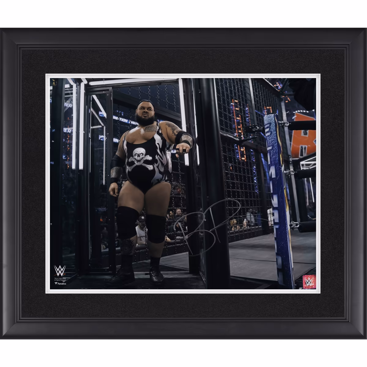 Bronson Reed WWE Autographed Framed 16" x 20" Elimination Chamber Photograph