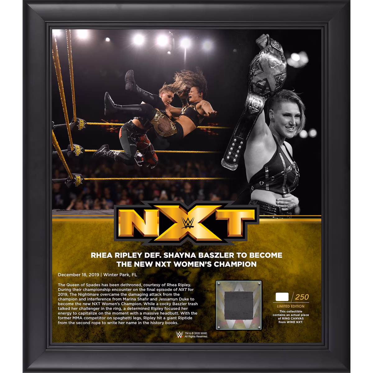 Rhea Ripley WWE Framed 15" x 17" New NXT Champion Collage with a Piece of Match-Used Canvas - Limited Edition of 250 21 Rhea Ripley WWE Framed 15" x 17" New NXT Champion Collage with a Piece of Match-Used Canvas - Limited Edition of 250
