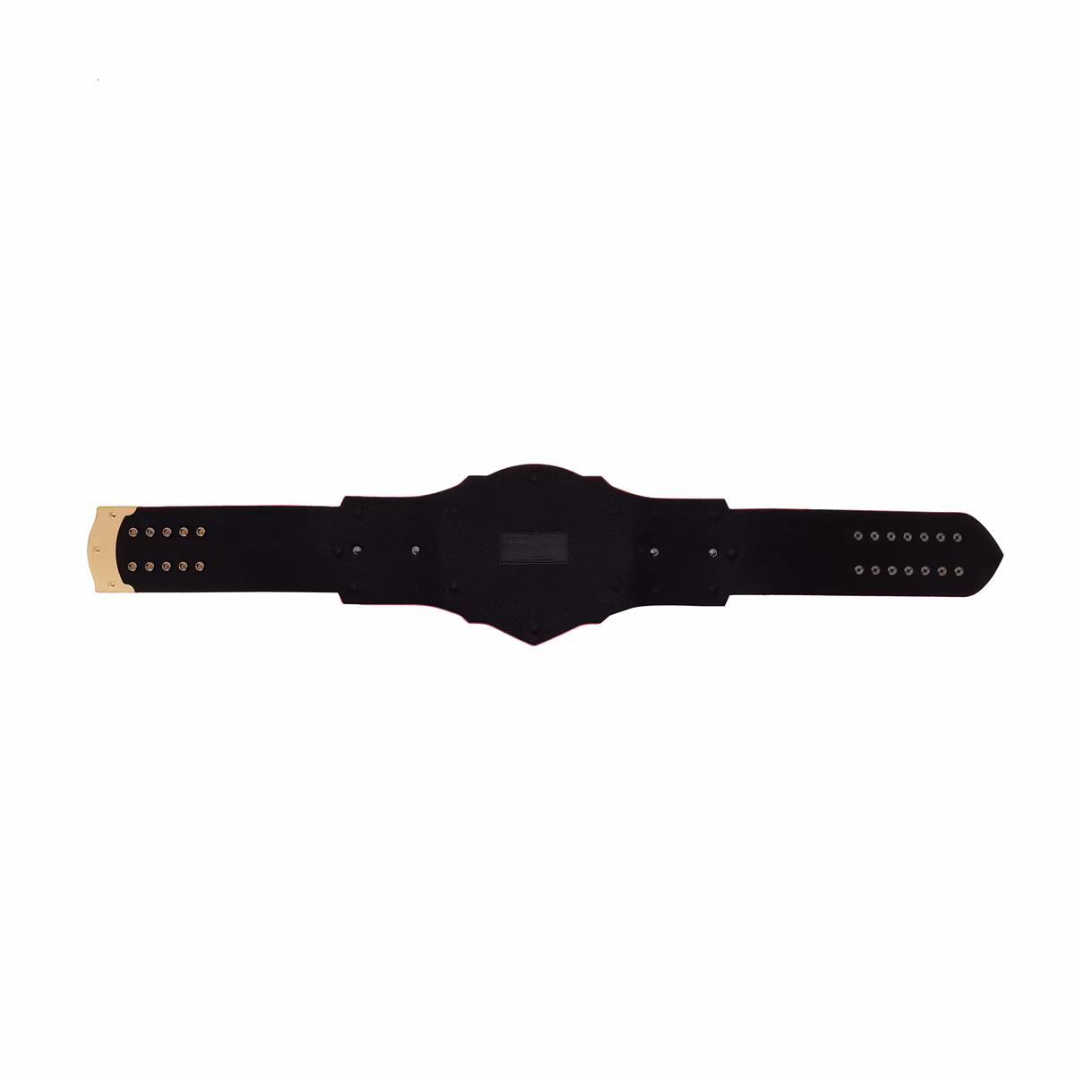 Texas Tech Red Raiders WWE Legacy Title Belt 10 Texas Tech Red Raiders WWE Legacy Title Belt