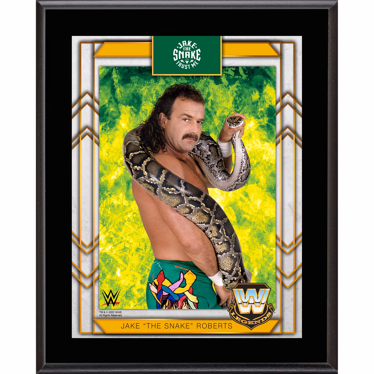 Jake "The Snake" Roberts 10.5" x 13" Sublimated Plaque 1 Jake "The Snake" Roberts 10.5" x 13" Sublimated Plaque