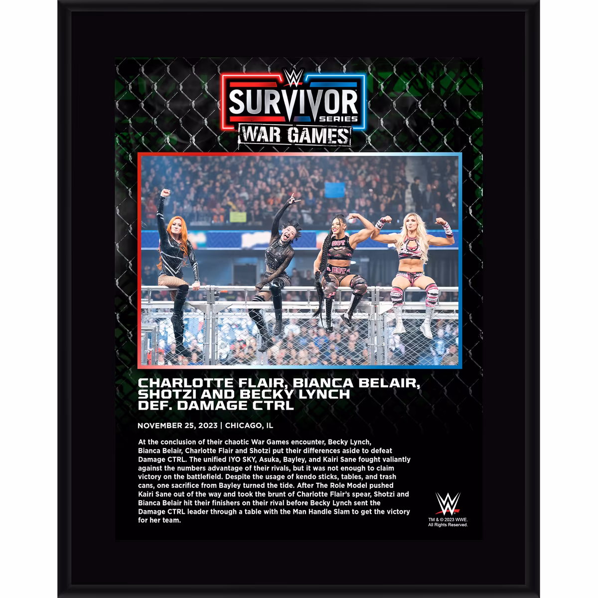 Women's WarGames Match WWE 10.5" x 13" 2023 Survivor Series Sublimated Plaque