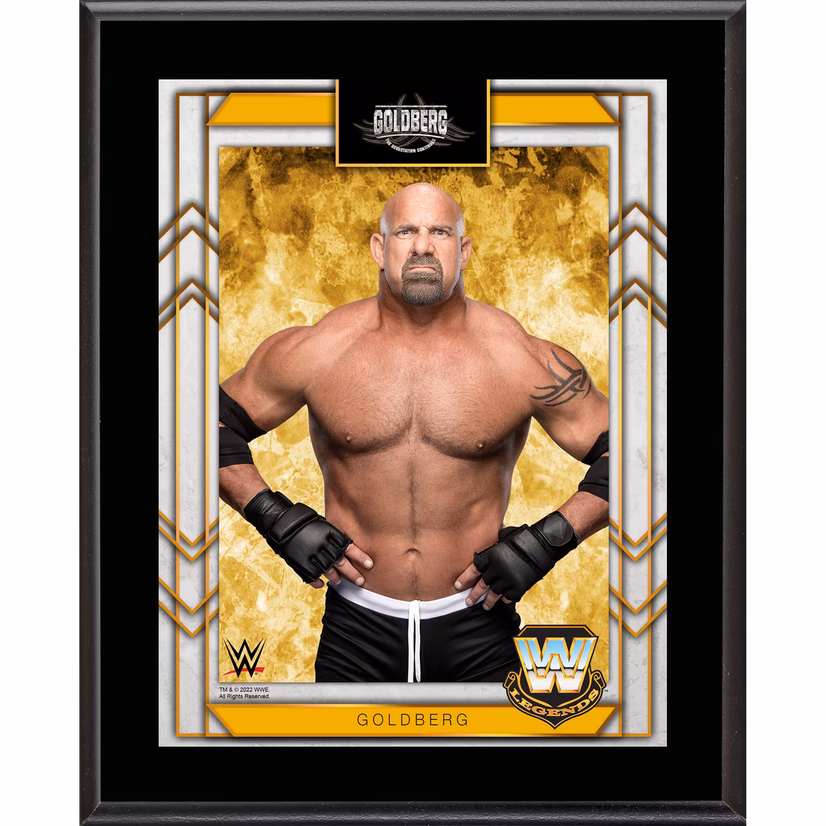 Goldberg 10.5" x 13" Sublimated Plaque