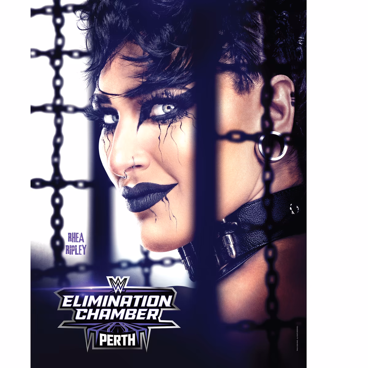 WWE Elimination Chamber 2024 18" x 24" Event Poster Art Photograph