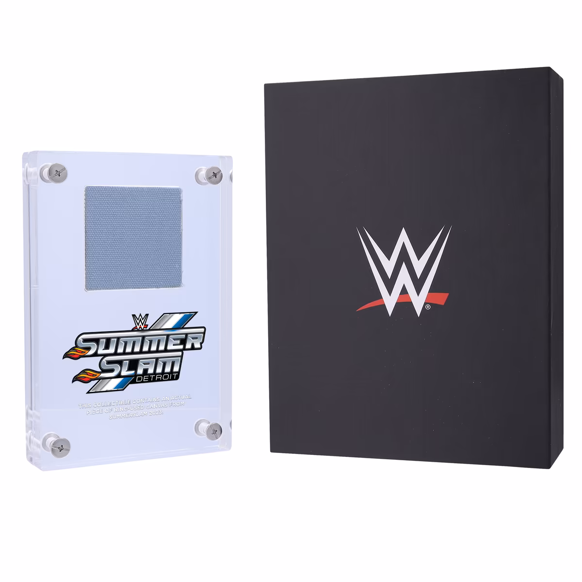 2023 WWE SummerSlam Acrylic Canvas Display Case