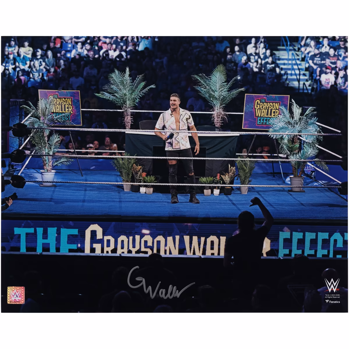Grayson Waller Autographed WWE x Fanatics Authentic 16" x 20" The Grayson Waller Effect Photograph