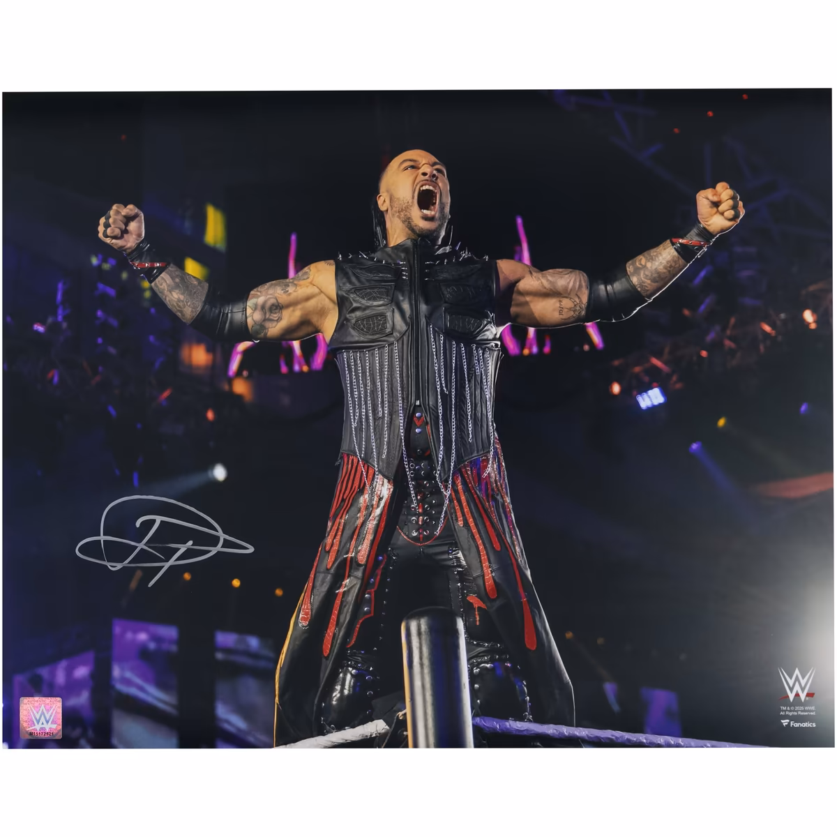 Damian Priest WWE Autographed 16" x 20" Entrance On Top Rope Photograph