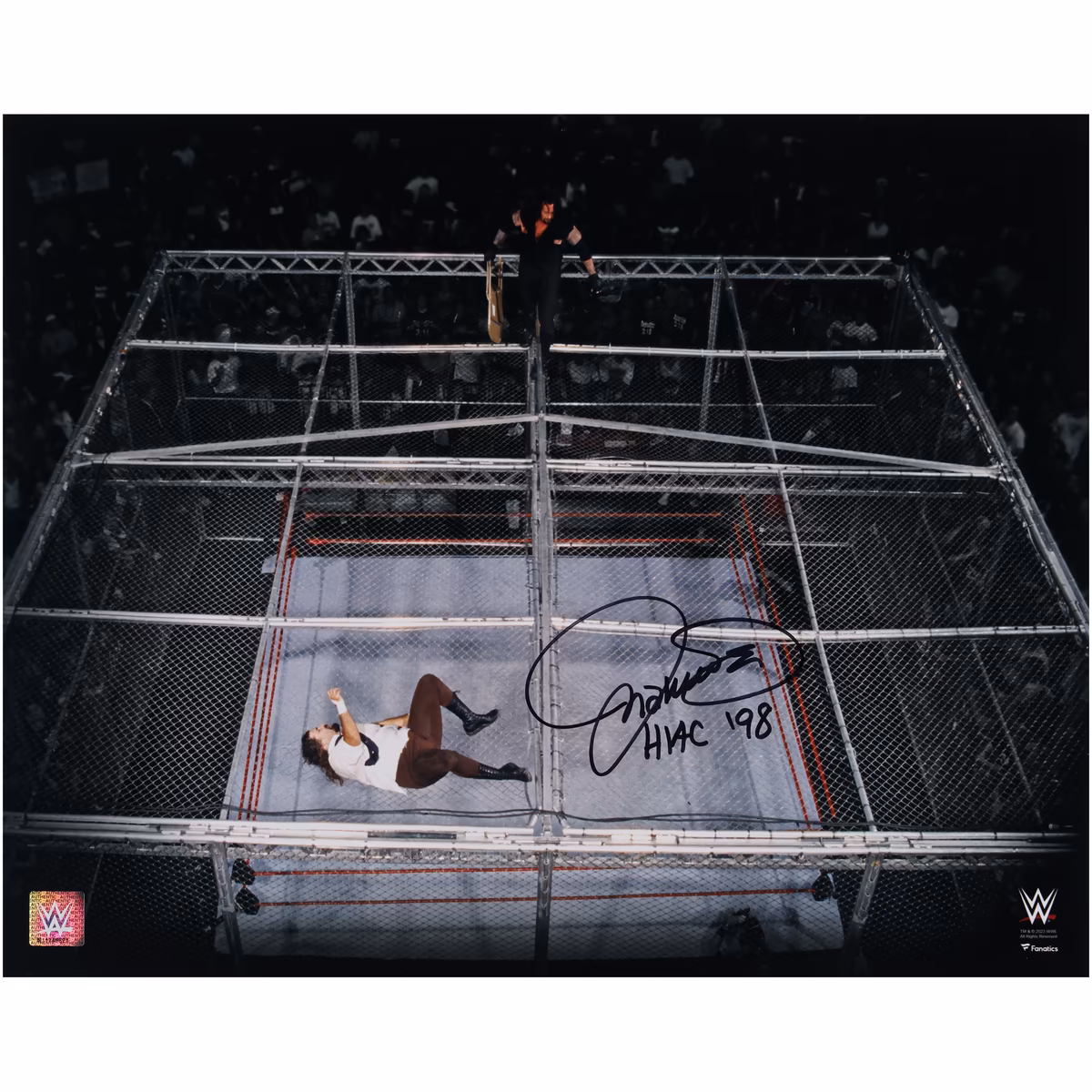 Mick Foley WWE Autographed 16" x 20" Hell In A Cell Photograph with "HIAC '98" Inscription