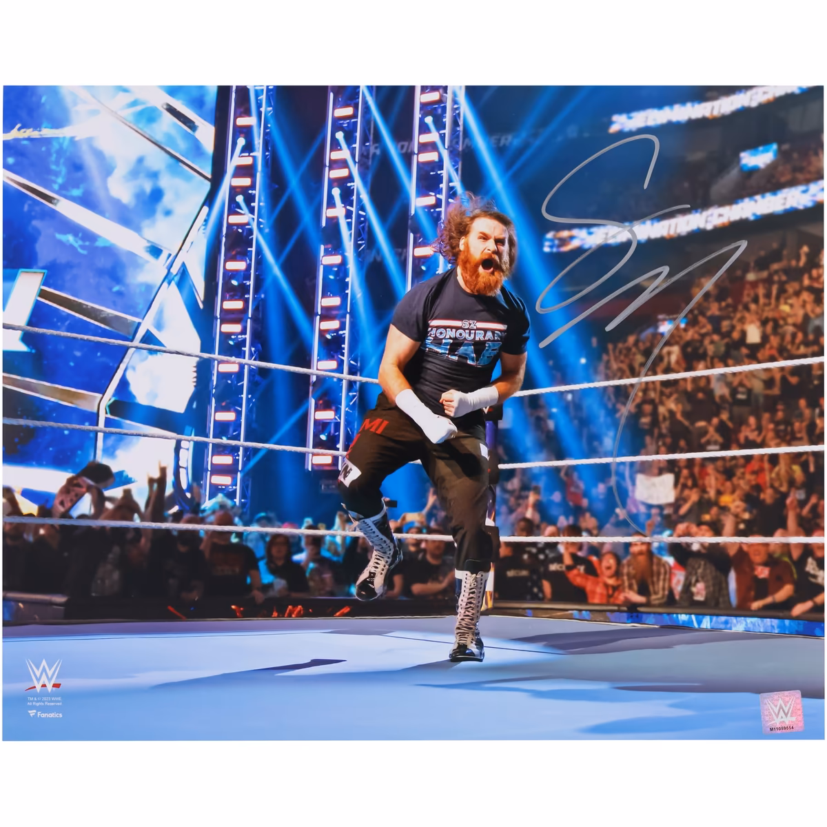 Sami Zayn WWE Autographed 16" x 20" Elimination Chamber Photograph