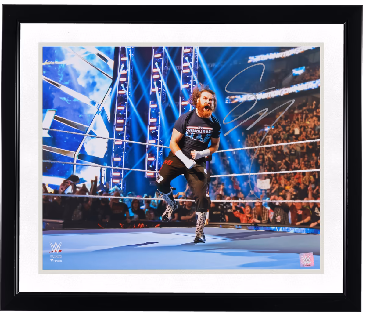 Sami Zayn WWE Autographed 16" x 20" Elimination Chamber Photograph 3 Sami Zayn WWE Autographed 16" x 20" Elimination Chamber Photograph