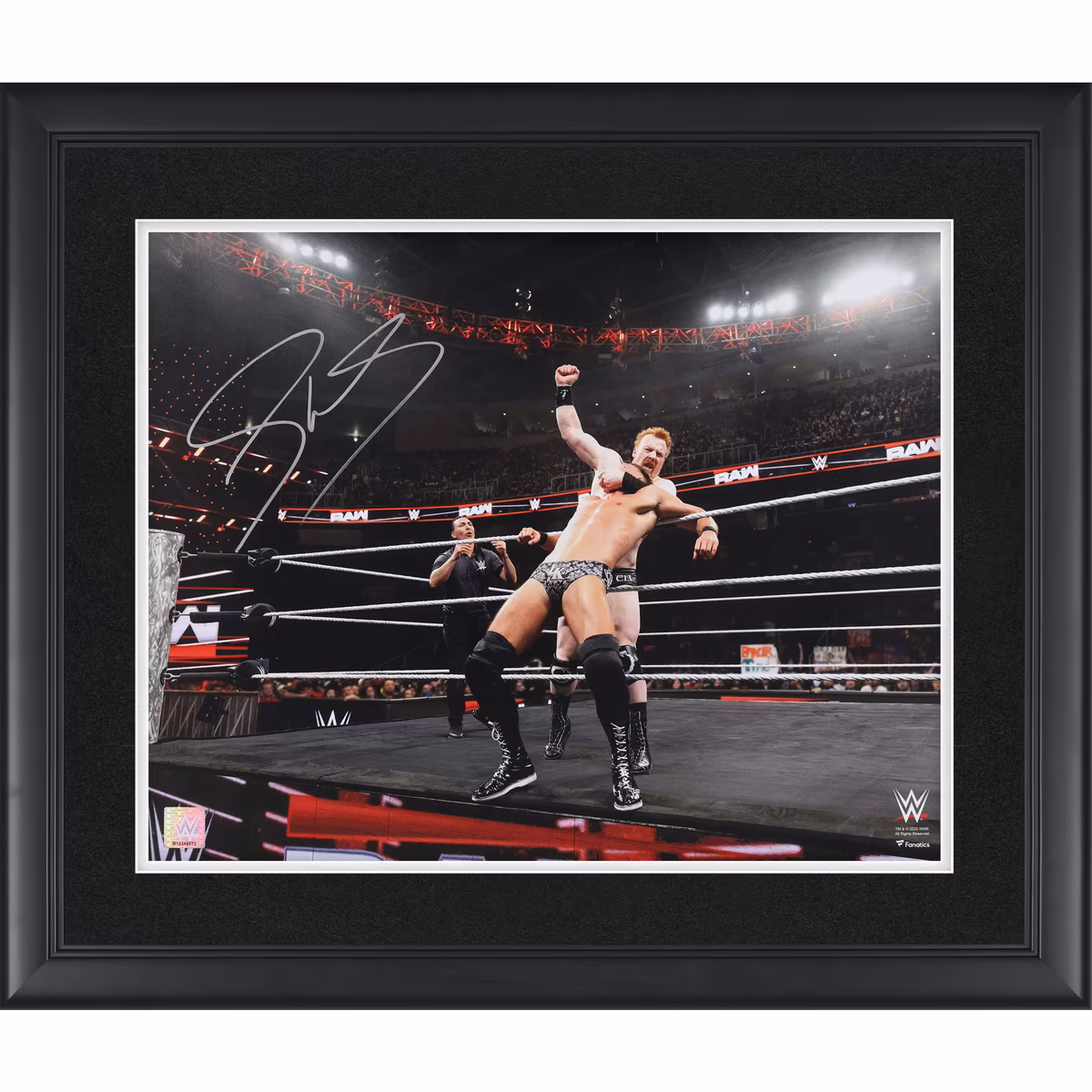 Sheamus WWE Autographed Framed 16" x 20" 10 Beats Punch Against The Ropes Photograph