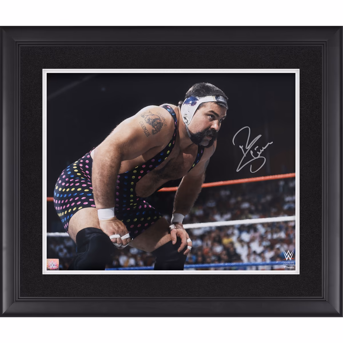 Rick Steiner WWE Autographed Framed 16" x 20" In Ring Photograph