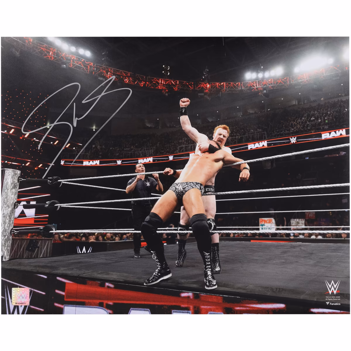 Sheamus WWE Autographed 16" x 20" 10 Beats Punch Against The Ropes Photograph