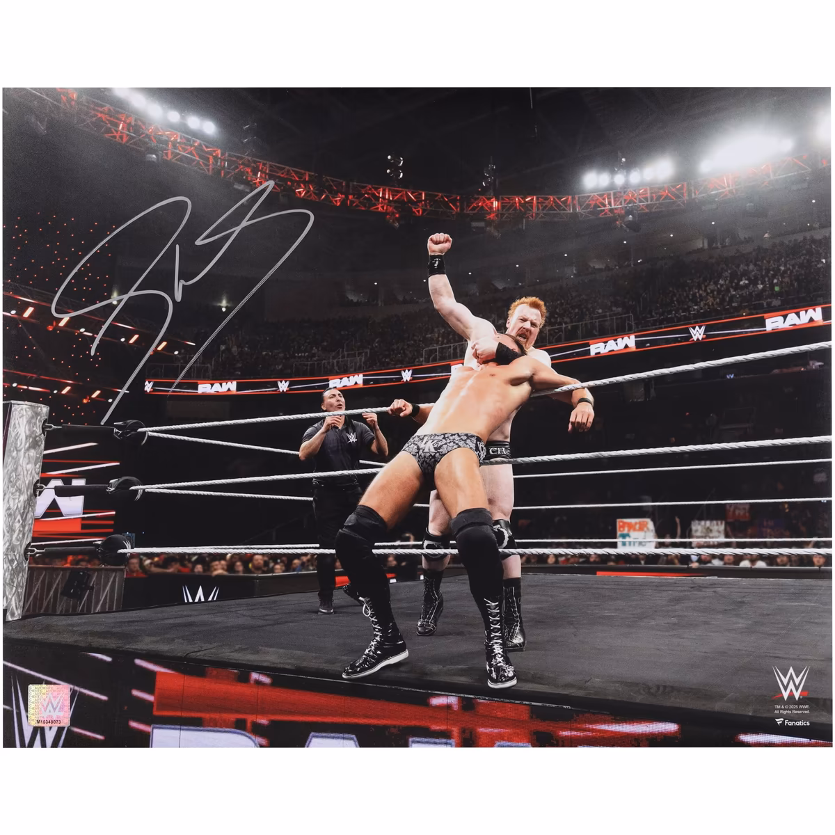 Sheamus WWE Autographed 16" x 20" 10 Beats Punch Against The Ropes Photograph