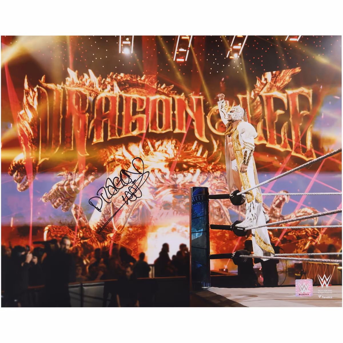 Dragon Lee WWE Autographed 16" x 20" Entrance Photograph