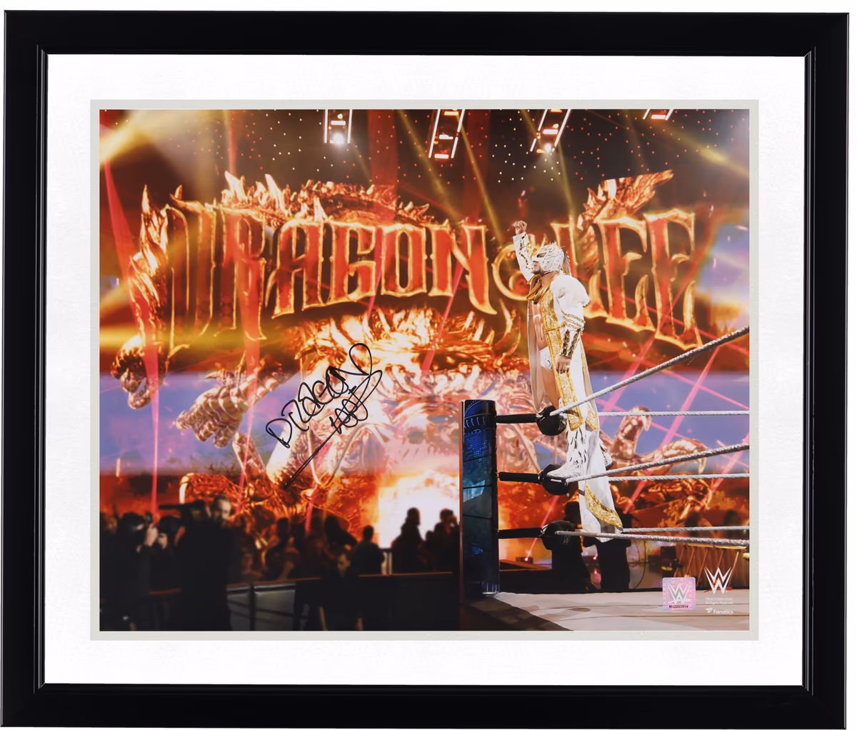 Dragon Lee WWE Autographed 16" x 20" Entrance Photograph 3 Dragon Lee WWE Autographed 16" x 20" Entrance Photograph