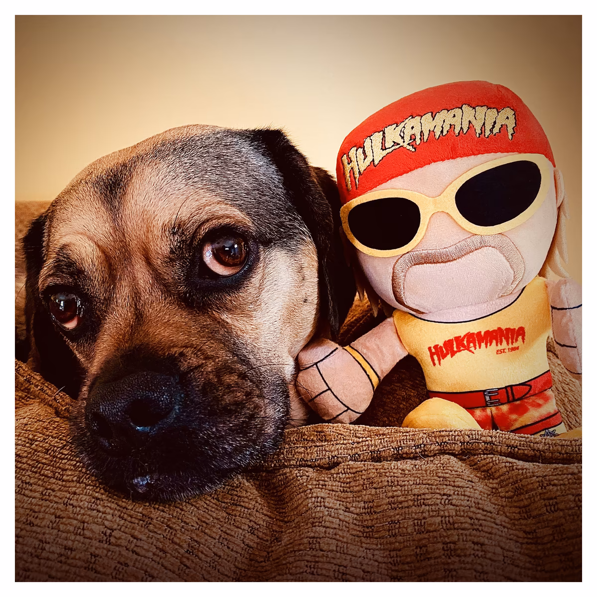 Bleacher Creatures Hulk Hogan WWE 8" Kuricha Sitting Plush 7 Bleacher Creatures Hulk Hogan WWE 8" Kuricha Sitting Plush
