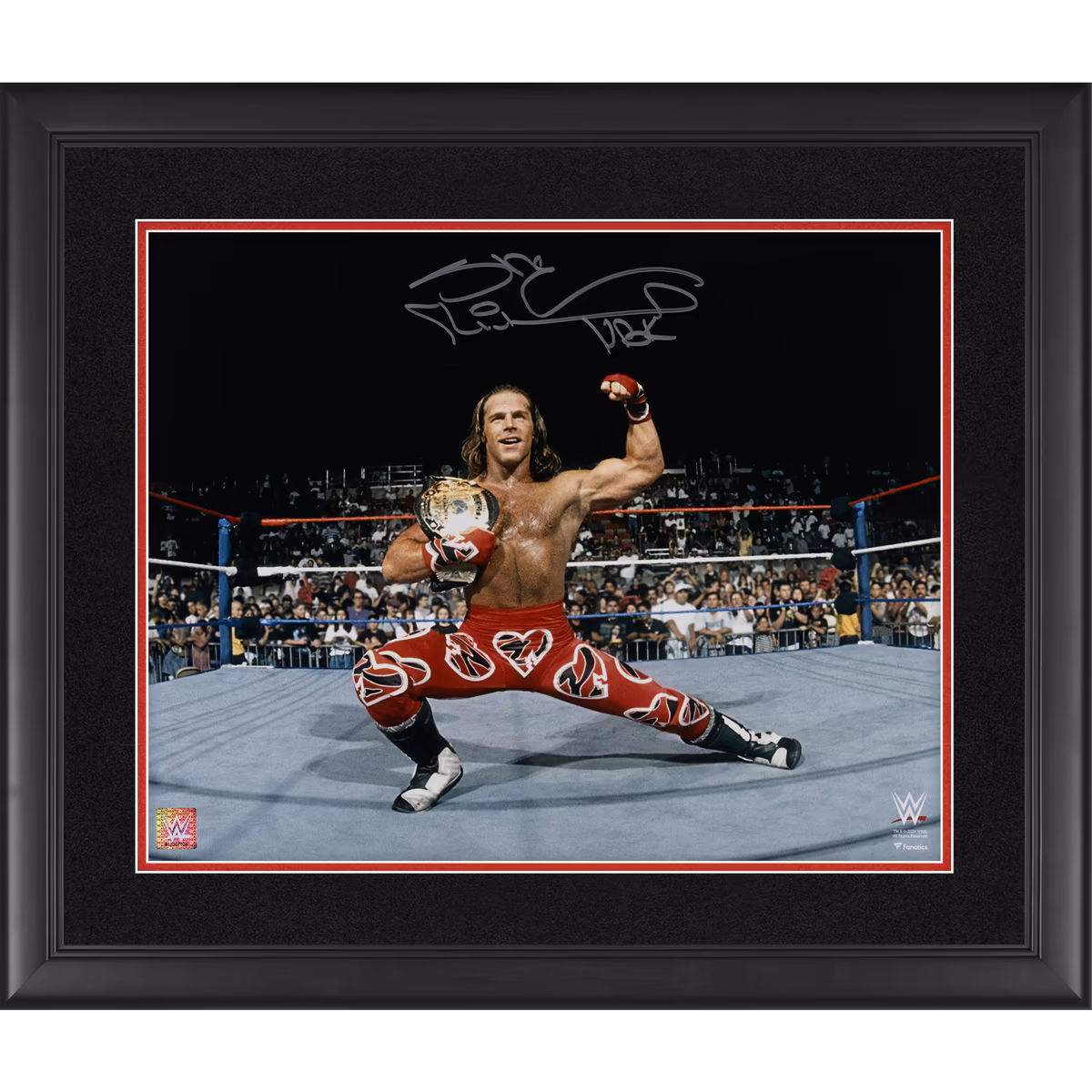 Shawn Michaels WWE Autographed Framed 16" x 20" In Ring Pose With Title Photograph