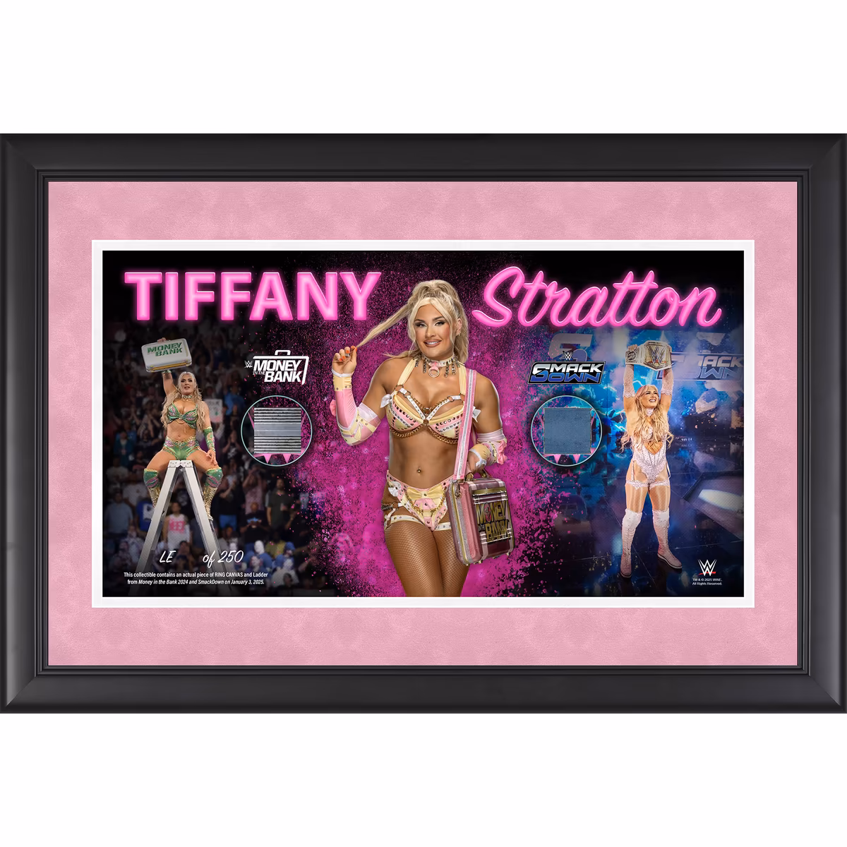 Tiffany Stratton WWE Framed 10" x 18" Money in the Bank & SmackDown Cash-In Championship Collage with a Piece of Match-Used Ladder and Canvas - Limited Edition of 250 8 Tiffany Stratton WWE Framed 10" x 18" Money in the Bank & SmackDown Cash-In Championship Collage with a Piece of Match-Used Ladder and Canvas - Limited Edition of 250