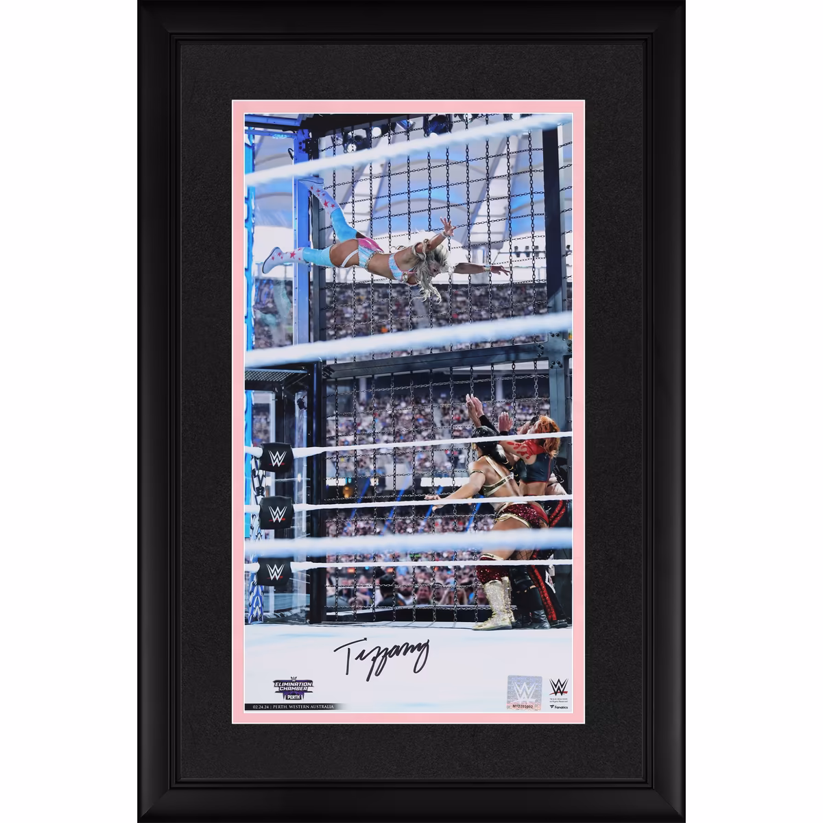 Tiffany Stratton WWE Autographed Framed 10" x 18" Elimination Chamber Swanton Photograph