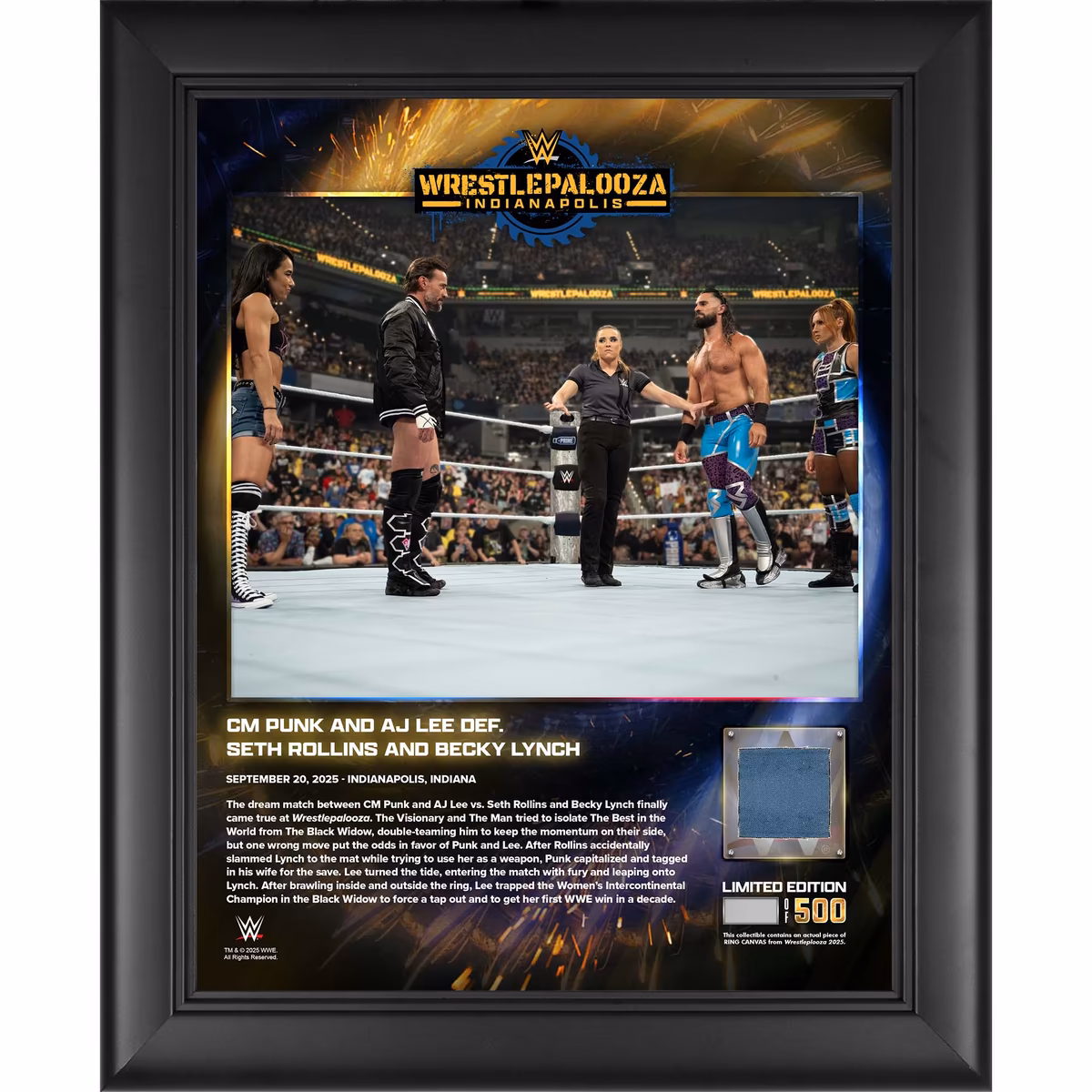 AJ Lee & CM Punk WWE Framed 13" x 16" Wrestlepalooza 2025 Collage with a Piece of Match-Used Canvas - Limited Edition of 500