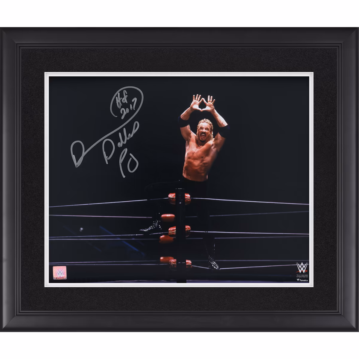 Diamond Dallas Page WWE Autographed Framed 16" x 20" Diamond Cutter Photograph with "HOF 2017" Inscription