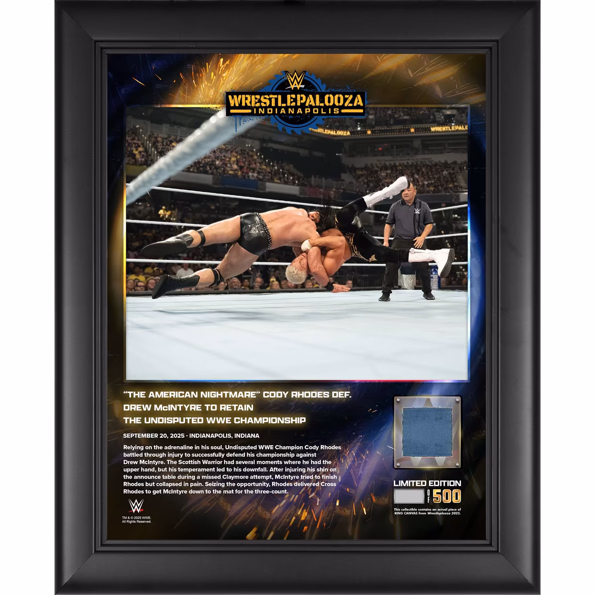 Cody Rhodes WWE Framed 13" x 16" Wrestlepalooza 2025 Collage with a Piece of Match-Used Canvas - Limited Edition of 500 2 Cody Rhodes WWE Framed 13" x 16" Wrestlepalooza 2025 Collage with a Piece of Match-Used Canvas - Limited Edition of 500